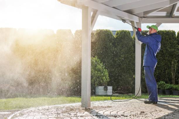 Best Sidewalk and Walkway Cleaning  in Ironton, OH